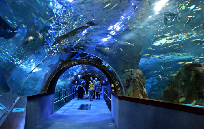 Aquarium de San Sebastián, musée maritime accessible